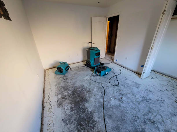 Best Flood restoration services  in Ntgomery City, MO