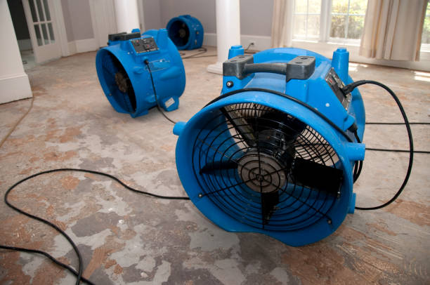 Best Water damage cleanup near me  in Ntgomery City, MO
