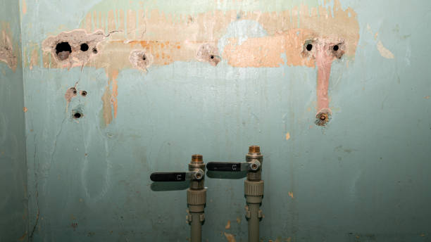 Best Water damage restoration near me  in Ntgomery City, MO